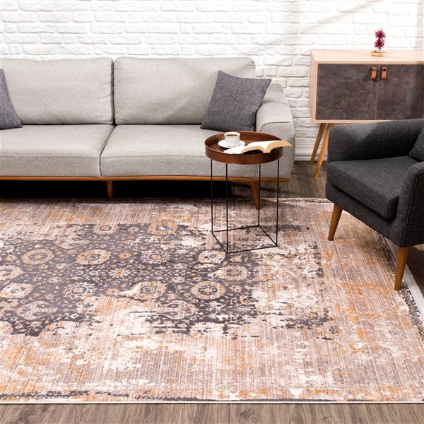 Rug Branch Transitional Vintage Classic Grey Beige Indoor Area Rug - 6x9