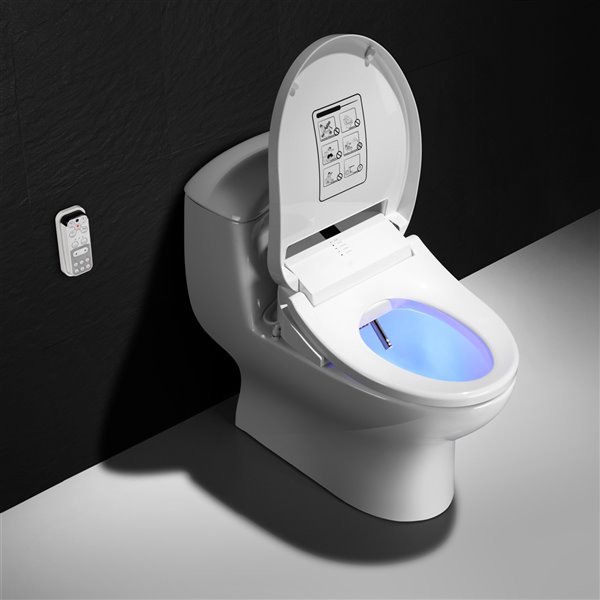 Bidet de toilette portable amovible/chaise de toilette standard pour femme  avec rinçage 02 