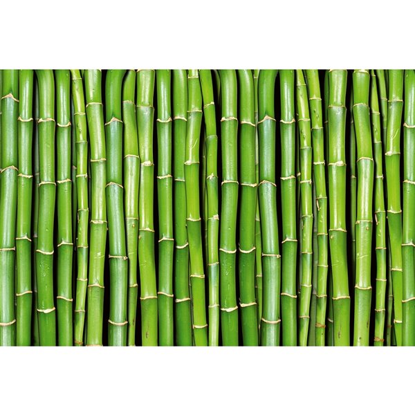 Dimex Bamboo Wall Mural - 12-ft 3-in x 8-ft 2-in