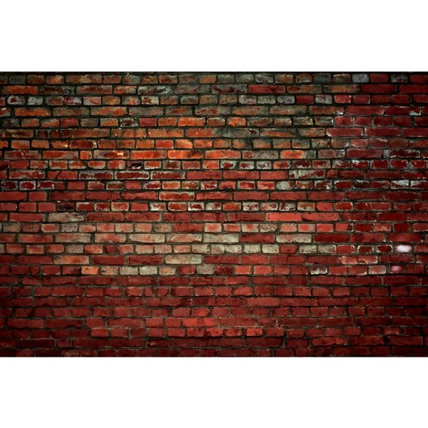 Dimex Brick Wall Wall Mural - 12-ft 3-in x 8-ft 2-in