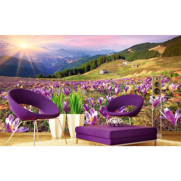 Dimex Crocuses at Spring Wall Mural - 12-ft 3-in x 8-ft 2-in