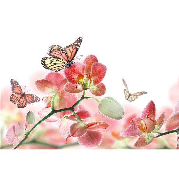 Dimex Orchids and Butterfly Wall Mural - 12-ft 3-in x 8-ft 2-in