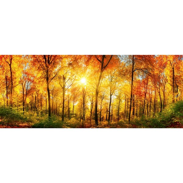 Dimex Sunny Forest Wall Mural - 12-ft 3-in x 4-ft 9-in MP-2-0067 | RONA
