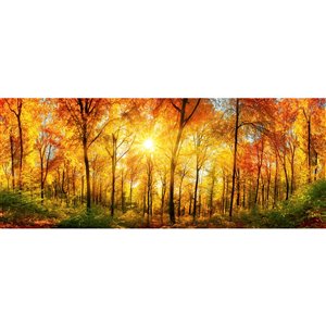 Papier peint forêt ensoleillée de Dimex, 12 pi 3 po x 4 pi 9 po