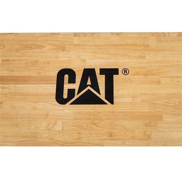 CAT Adjustable Workbench - 48-in x 25-in x 29-in - Black