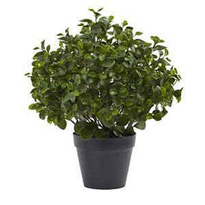 Nearly Natural Peperomia UV Resistant Artificial Plant - Indoor/Outdoor - 23-in - Green