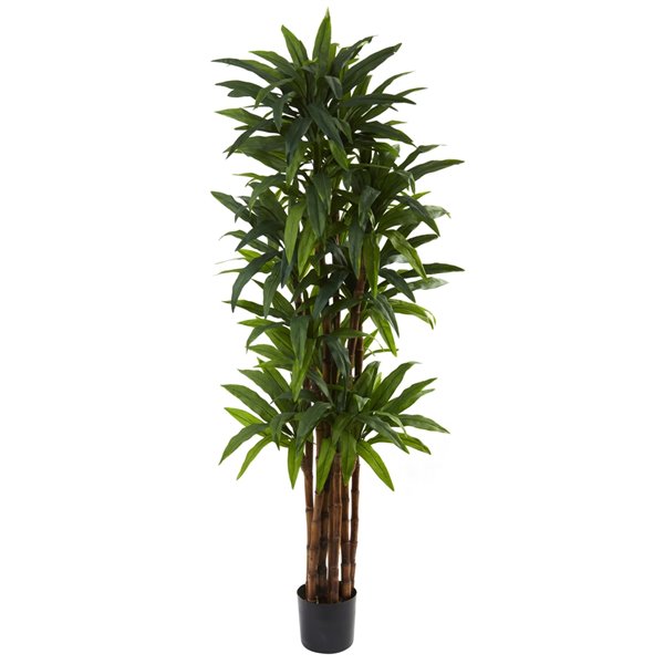 Nearly Natural Dracaena Tree - 6.5-ft - Green