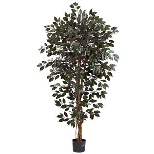 Nearly Natural Capensia Ficus Artificial Tree - 6-ft - Green