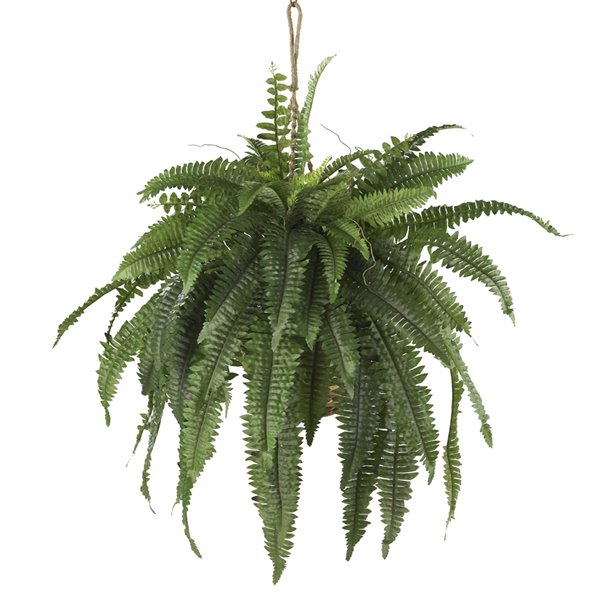 Nearly Natural Large Boston Fern Hanging Basket - 22-in - Green