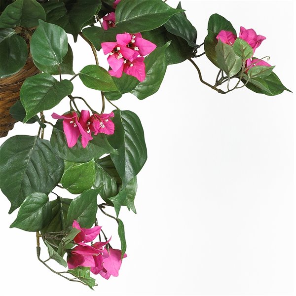 Nearly Natural Bougainvillea with Hanging Basket - 24-in - Pink 6608 | RONA