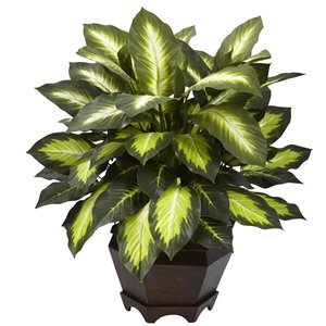 Nearly Natural Triple Golden Dieffenbachia with Wood Vase - 22-in - Green
