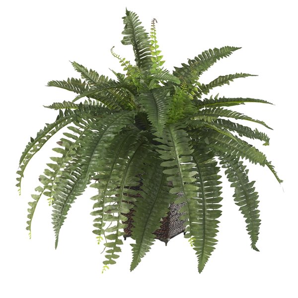 Nearly Natural Boston Fern with Wicker Basket - 23-in - Green