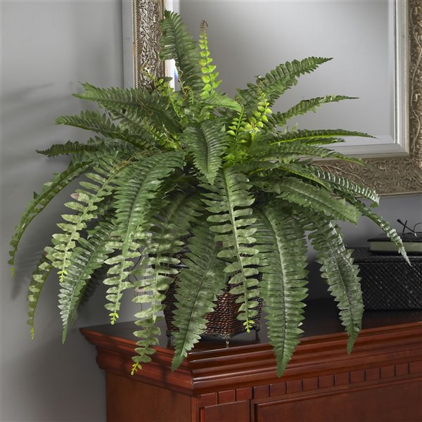 Nearly Natural Boston Fern with Wicker Basket - 23-in - Green