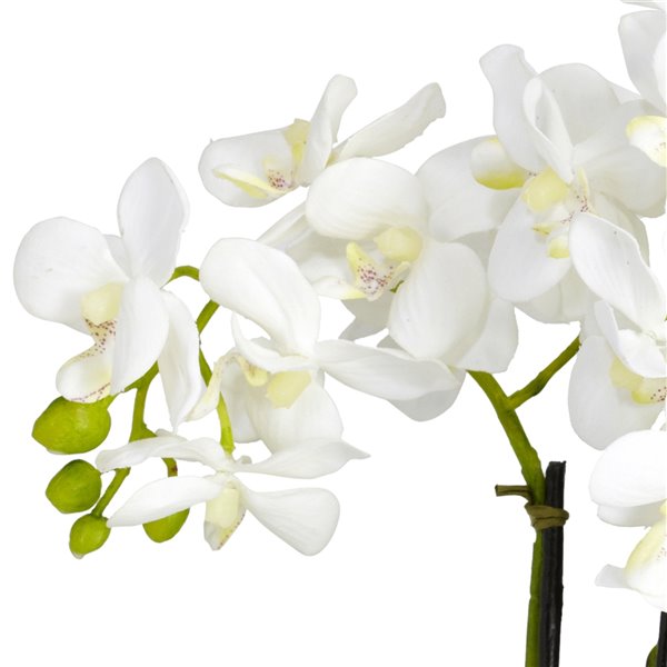 Nearly Natural Phalaenopsis Orchid Silk Flower Arrangement - 15-in - White