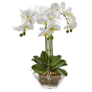 Nearly Natural Triple Phalaenopsis Orchid in Glass Vase - 22-in - White