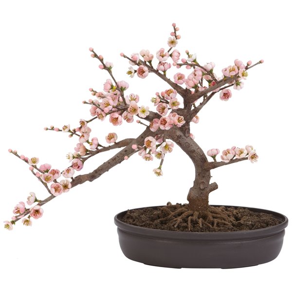 Nearly Natural Cherry Blossom Bonsai Silk Tree - 15-in - Pink 4764