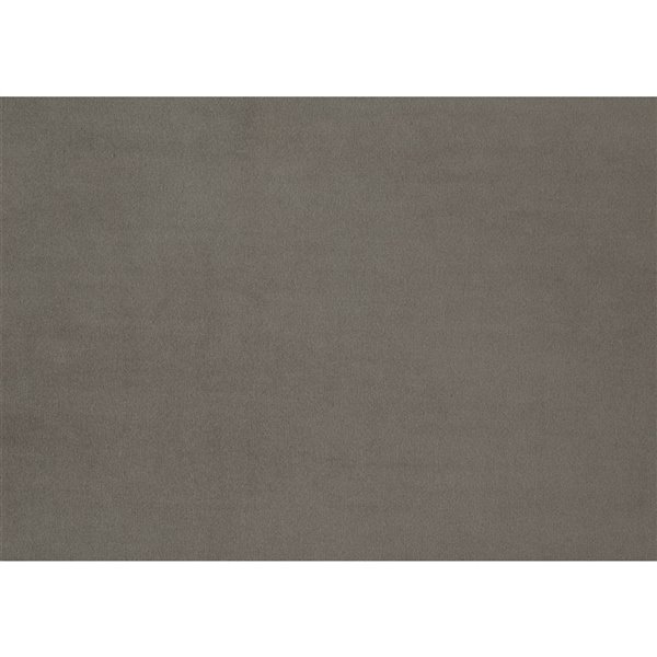 HomeTrend Imani Modern Velvet Slipper Chair - Gray