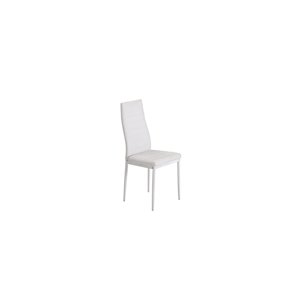 Mazin Industries Florian Contemporary Side Chair - White - Set of 2