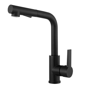 akuaplus® ANNA 1-Handle Kitchen Faucet - Matte Black