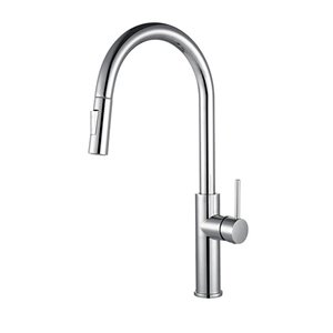akuaplus® ABA 1-Handle Kitchen Faucet - Chrome