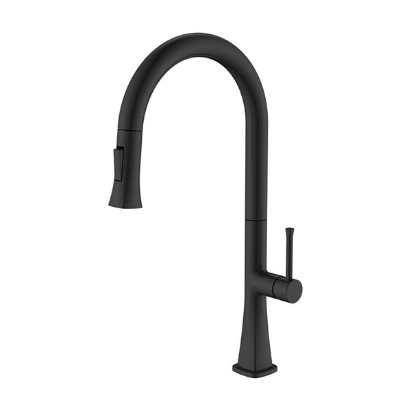 akuaplus® AIMI 1-Handle Kitchen Faucet - Matte Black