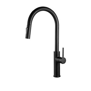 akuaplus® ABA 1-Handle Kitchen faucet - Matte Black