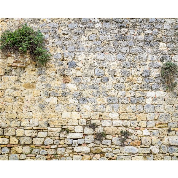 Wall Rogues Stone Wall Mural - Unpasted - 118-in x 94-in