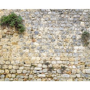 Wall Rogues Stone Wall Mural - Unpasted - 118-in x 94-in