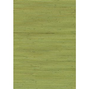 Kenneth James Jiangsu Unpasted Grasscloth Wallpaper - 72-sq. ft. - Green