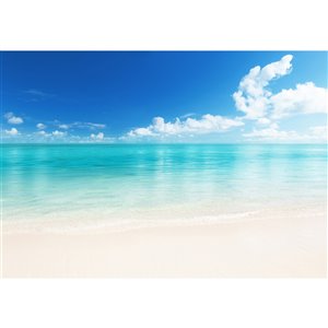 Ideal Décor The Beach Wall Mural - Unpasted - 144-in x 100-in