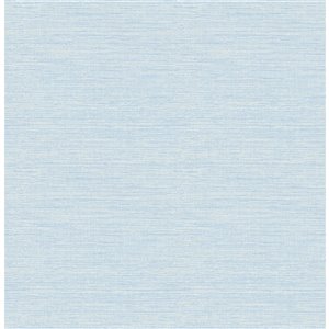 A-Street Prints Theory Unpasted Nonwoven Wallpaper - 56.4-sq. ft. - Soft Blue