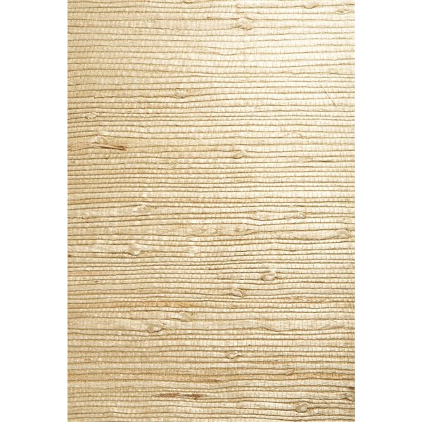 Papier peint non encollé en toile de ramie Jade par Kenneth James, 72 pi², beige et blanc cassé