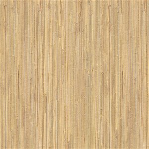 Kenneth James Jade Daria Unpasted Grasscloth Wallpaper - 72-sq. ft. - Beige