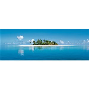 Peinture murale de la MaldiveIdeal Décor, non encollée, 50 po x 144 po