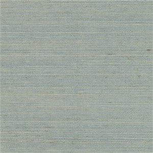 Kenneth James Canton Road Zhejiang Unpasted Grasscloth Wallpaper - 72-sq. ft. - Light Blue
