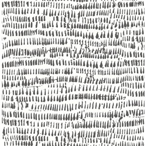 Brewster Fresh Start Unpasted Nonwoven Wallpaper - 56.4-sq. ft. - Black and White