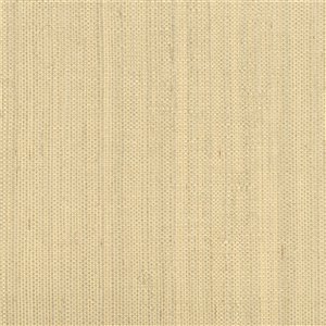 Kenneth James Jade Unpasted Grasscloth Wallpaper - 72-sq. ft. - Champagne