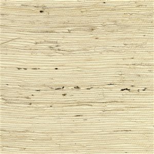 Kenneth James Canton Road Tomur Unpasted Grasscloth Wallpaper - 72-sq. ft. - Beige