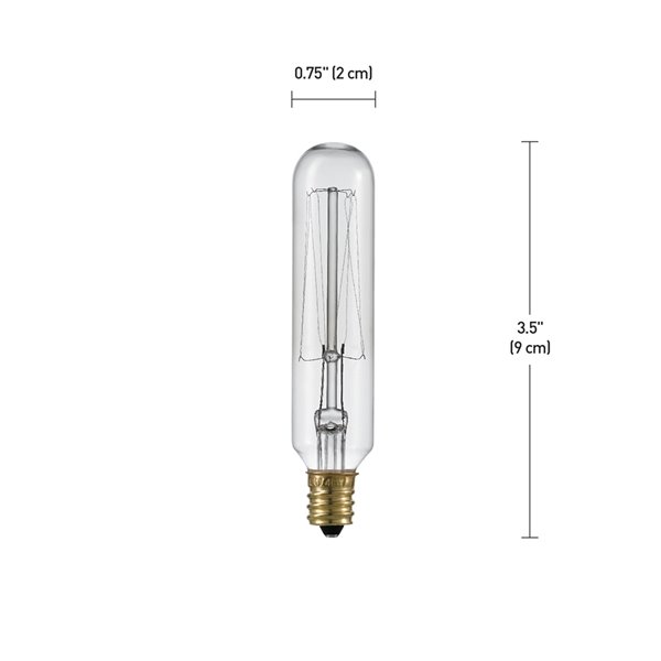 Globe Electric Ampoule incandescente ronde Vintage Edison de 100W en verre  transparent à i