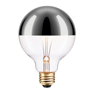 Globe Electric Designer Vintage Edison Chromeo Incandescent Light Bulb - 220 Lumens - 40W - Silver