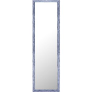 Mirrorize Canada 49.5-in L x 13.5-in W Rectangle Blue Patina Framed Door Mirror