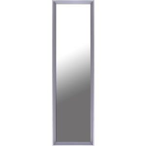 Mirrorize Canada 49.5-in L x 13.5-in W Rectangle Taupe Framed Door Mirror