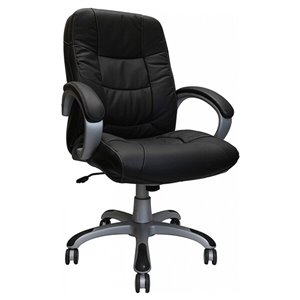 Nicer Interior Executive Chair with Lumber Support - Black