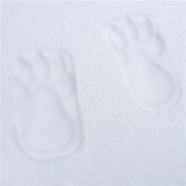 Snow Sector Snow Stampers-Bear Feet