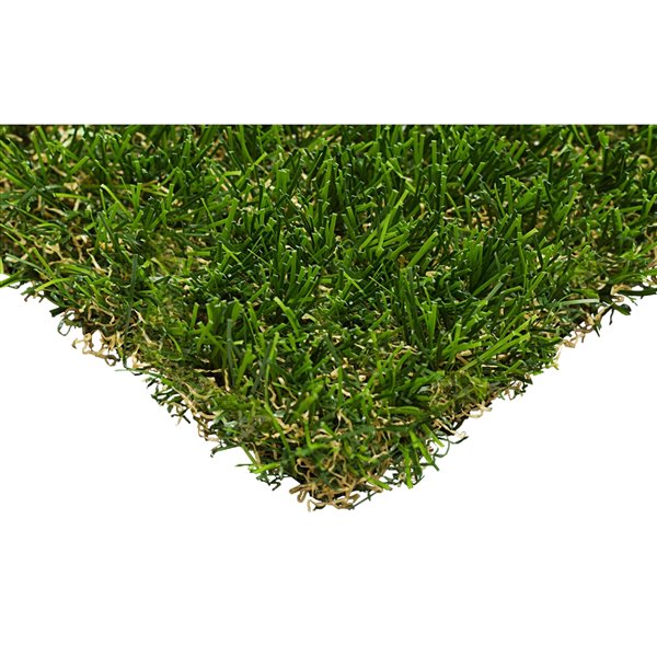 Trylawnturf Oasis Gold Artificial Grass - 65-ft x 6.6-ft - Green