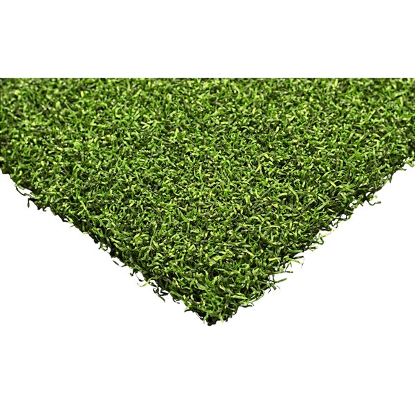 Gazon synthétique Putting Green Max de Trylawnturf - 20 pi x 6 pi, vert