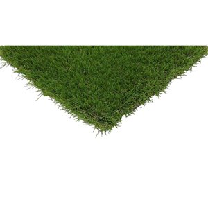 Tapis de gazon artificiel Eclipse de Trylawnturf, 20 pi x 6 pi, vert