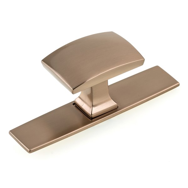 Richelieu Abbeydale 3.54-in Champagne Bronze Rectangular Contemporary Cabinet Knob (1-Pack)