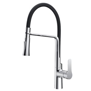 Robinet d'évier de cuisine Presley de Jade Bath, 1 poignée, noir mat
