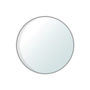 Jade Bath Dex Round Decorative Mirror - 47.24-in x 47.24-in - Polished Chrome